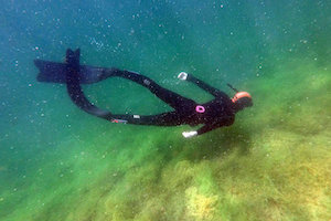 Fun Dive Tagesausflug