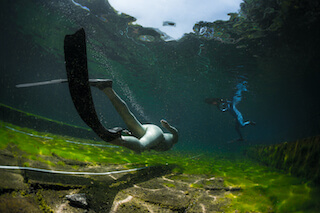 SSI Basic Freediver Kurs